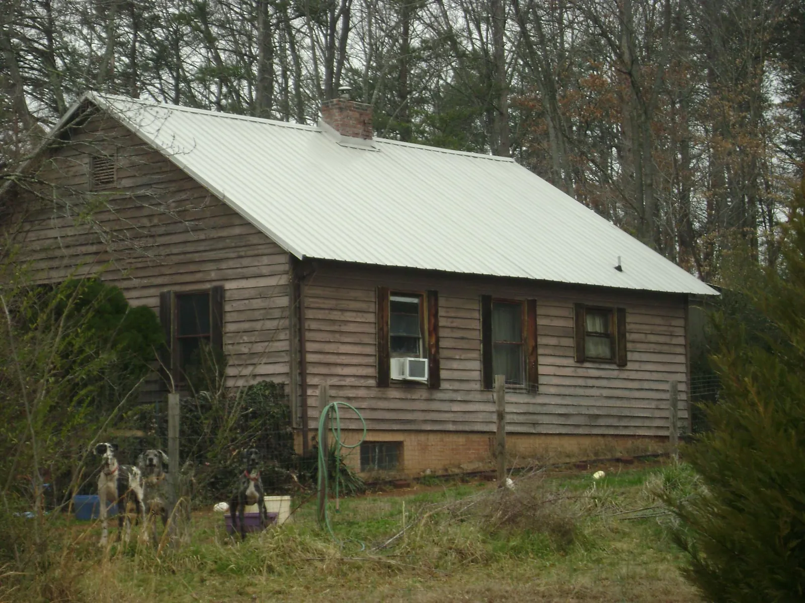 White metal roof on an old wood sided farmhouse, from a Asphalt Shingle Roof Repair job in Three Rivers
